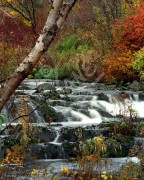 St. John's, Rennies River